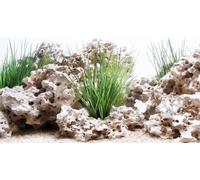 Amtra Back Wall Photo - Wonder - 100x45 cm