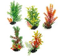 AMTRA Deco Flora On Pebbles Series, 18-20 cm
