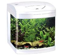 Amtra Laguna XCUBE 26 LED Black - Aquarium Complete with LED Lighting and Filter/cm 31x32x37 / 26 Liters