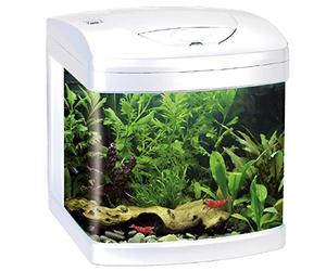 Amtra Laguna XCUBE 26 LED Black - Aquarium Complete with LED Lighting and Filter/cm 31x32x37 / 26 Liters