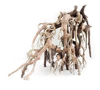 Amtra Oriental Wood - WIND 1 - SM