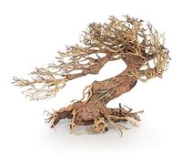 Amtra Oriental Wood - WIND 3 - MD