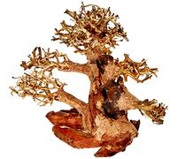 Amtra Oriental Wood - WIND 4 - SM