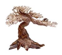 Amtra Oriental Wood - WIND 5 - MD