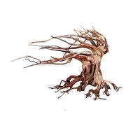 Amtra Oriental Wood - WIND 6 - MD