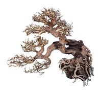 Amtra - Oriental Wind 7 wood, handmade, for aquarium, 30X13X23 CM