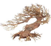 Amtra Oriental Wood - WIND 3 - MD