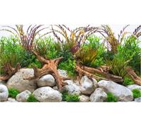 Amtra Photo Background - River - 60x30 cm