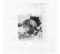 Amulets - Rem(a)Inders (Ltd Lavender ed.) [VINYL]