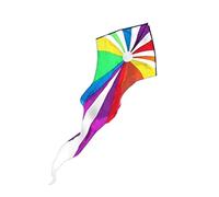 AMULONG Kites for Parties, Colorful Ghost Kite Long Tail Easy To Fly For Beach Trip Park Family Outdoor Games And Activities Beach(B,400m)