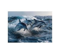 AMXBZC Blue Beach Wall Art Canvas Prints, Three Jumping Dolphins Sea Picture Painting,Modern Wall Artwork,for Bathroom Home Kitchen Office-40x60cm Unframed