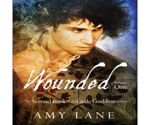 Amy Lane Wounded, Vol. 1 Paperback Book Amy Lane Multicolor
