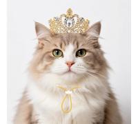AMYBLOSOM Small Dogs Cats Gold Clear Crowns Tiaras with Rhinestones Adjustable Non-Slip Elastic Strap for Puppies Kittens Birthday Party Halloween Wedding Costume