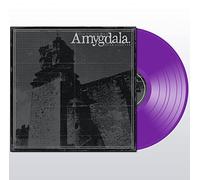 Amygdala Our Voices Will Soar Forever (Vinyl) 12" Album