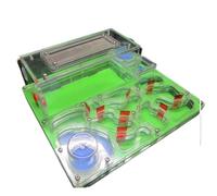 AMYSTY Ant Farm For Study Acrylic Ant Castle Diy Twin Water Towers Ant Nest Farm Eco Workshop Science Ant House For Observing(Grün)