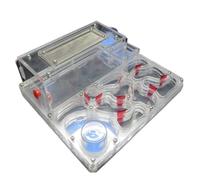 AMYSTY Ant Farm For Study Acrylic Ant Castle Diy Twin Water Towers Ant Nest Farm Eco Workshop Science Ant House For Observing(Transparent)