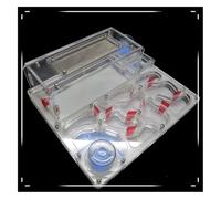 AMYSTY Ant Farm For Study Acrylic Ant Castle Diy Twin Water Towers Ant Nest Farm Eco Workshop Science Ant House For Observing(White)
