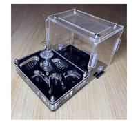 AMYSTY Ant Farm For Study Ant Castle Acrylic Ant Farm With Hydrating Water Tower Ant Nest Farm Educational Science Learning Kit Ant House For Observing(S)