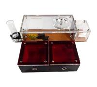 AMYSTY Ant Farm For Study Ant Castle Ecological Box Ant Farm Learn The Life Of Ants Anthill Science Education Ant House For Observing