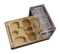 AMYSTY Ant Farm For Study Ant Castle Gypsum Habitat Ant Nest Farm Ant Farm Learning Science Plaything Educational Ant House For Observing(Yellow)