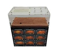 AMYSTY Ant Farm For Study Classic Ant Castle Concrete Ant Nest Black Hole Nest Ant Farm Ant Nest Farm With Usb Charging Cable Ant House For Observing