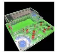 AMYSTY Ant Farm For Study DIY Acrylic Ant Nest Large Flat Farm With Feeding Area Big House For Pet Hill Workshop Castle For Study Ant House For Observing(Grün)