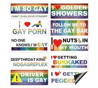 AMZAUTO 10PCS Magnetic Bumper Stickers for Car, Funny Rainbow LGBT Stickers, Reusable Prank Bumper Magnets Decal for Car SUV Truck Motorcycle