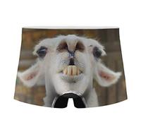 Amzbeauty Classic Polyester Underwear Boxer Custom, Super Soft, Flexible, Durable, Fashion and Lightweight
