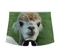 Amzbeauty Classic Polyester Underwear Boxer Custom, Super Soft, Flexible, Durable, Fashion and Lightweight