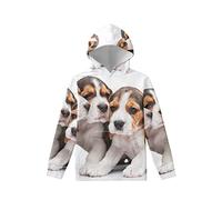 Amzbeauty Dogs Print Girls Sweatshirts Hoodie Boys Tops Sweatshirts Kids Long Sleeve Adorable Pullover Shirt Casual Tops