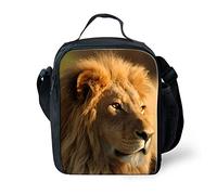Amzbeauty Lion Lunch Bag for Kids Insulated freezable Thermos Square Lunch Box