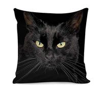 Amzbeauty Stylish Decorative Throw Pillow Case Covers Bedroom Sofa Living Room Pillowcases Luxury Sofa Square 18”x 18” Funny Black Cat Pattern