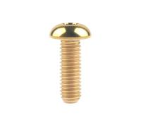 AMZBNEIDI Button Head Socket Cap Screws Bolts, Screws set Titanium Bolt M5/M6x8 10 12 15 16 18 20 25 30mm Half Round Hex for Bicycle Bottle Cage(Gold,25MM-M5)
