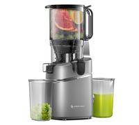 AMZCHEF Automatic Cold Press Juicer Machines 250W Free Your Hands -145MM Opening and 2L Capacity Slow Juicers for Whole Fruit and Vegetable, with Triple Filter, Safety Lock, Classic Grey