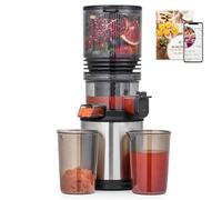 AMZCHEF Cold-Press-Juicer-Machines, 160 MM Large Feed Chute Masticating Juicers for Whole Fruit and Vegetable with 2L Capacity, Low-decibel DC Motor, Durable Stainless Steel Juicer, Triple Filter