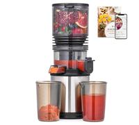 AMZCHEF Cold Press Juicer Machines, Slow Masticating Juicer with Low Noise DC Motor & Triple Filter, 160mm Wide Chute & 2L Capacity for Whole Fruits and Vegetables, Easy to Clean, Stainless Steel