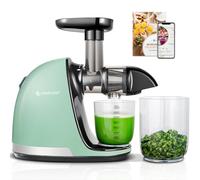 AMZCHEF Juicer Machines - Cold Press Juicer - Slow Masticating for Whole Fruits and Vegetables - Delicate Chew No Need to Filter - Bright Green