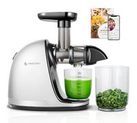 AMZCHEF Juicer Machines - Cold Press Slow Juicer - Masticating Juicer for Whole Fruits and Vegetables - Delicate Chew No Need to Filter