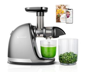 AMZCHEF Juicer Machines - Cold Press Slow Juicer - Masticating Juicer for Whole Fruits and Vegetables - Delicate Chew No Need to Filter - BPA Free Juice Extractor with 2 Cups and Brush - Grey
