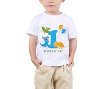 AMZTM 1st Boy Dinosaur Birthday Shirt Dinosaur First Birthday Outfits for Toddler Baby White