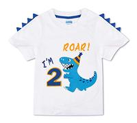 AMZTM Dinosaur Birthday T Shirt - Birthday Party Supplies Baby Boys Gift