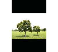 AN AGENDA FOR GLOBAL DIGITAL CHILDREN: (A HAPPY CHILD IS NATION'S PRIDE)