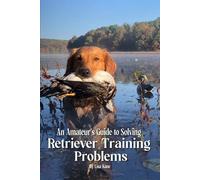 An Amateur’s Guide to Solving Retriever Training Problems
