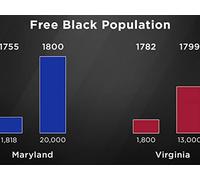 An American Racial Revolution