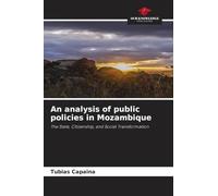 An analysis of public policies in Mozambique: The State, Citizenship, and Social Transformation