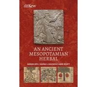 An Ancient Mesopotamian