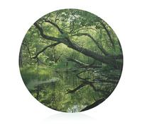 An Ancient Swamp Cutting Board for Restaurant, Tempered Glass Chopping Board for Kitchen, Round Board for Countertop, Non-Slip Vegetable Cutting Boards for Hotel, 7.9 In