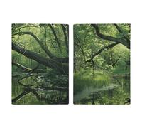 An Ancient Swamp Leather Passport Holder Covers Case Minimalist Passport Sleeve Travel Wallet Passport Book Holders for Women Men, style, 20.3x13.8cm