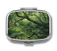 an Ancient Swamp Pill Box, 2 Compartment Medicine Pill Case, Portable Pill Organizer for Pocket Or Purse Decorative Metal Medicine Vitamin Organizer