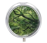 an Ancient Swamp Pill Box 3 Compartment Travel Pill Organizer 3 Times A Day Cute Mini Pill Case for Purse & Pocket Portable Metal Medicine Box with Mirror Round Daily Medicine Vitamin Container
